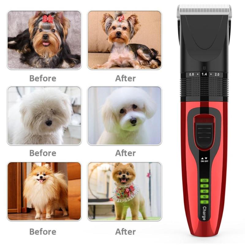 Premium Pet Grooming Kit with Scissors and Comb